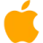 iOS access icon